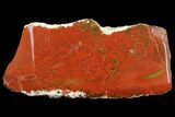Red, Indonesian Plume Agate Slab - North Sumatra #149615-1